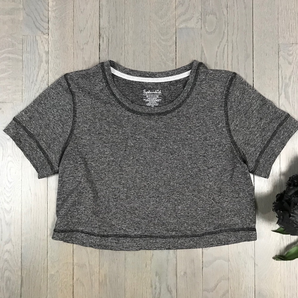 Splendid Striped Short Sleeve Athleisure Crop Top